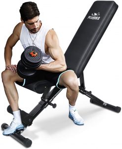 flybird workout bench