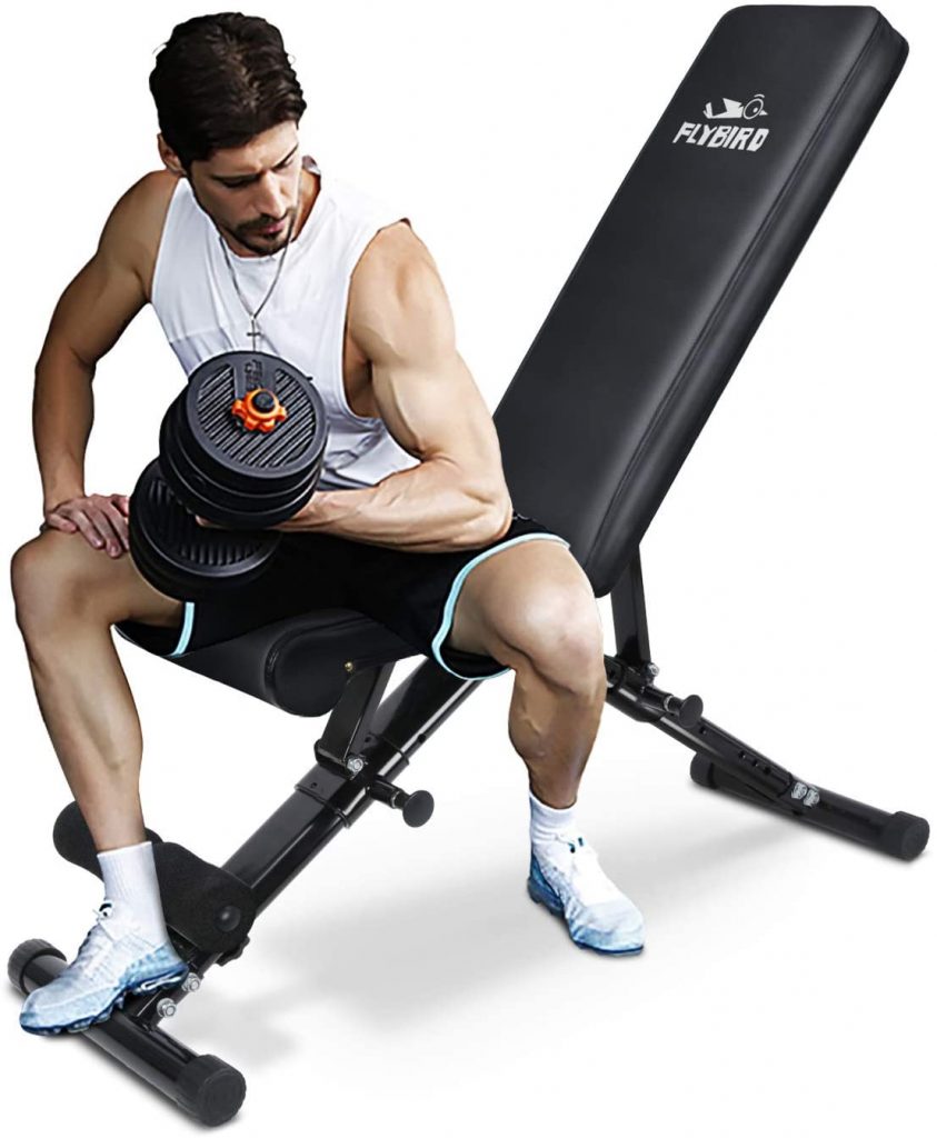 flybird workout bench