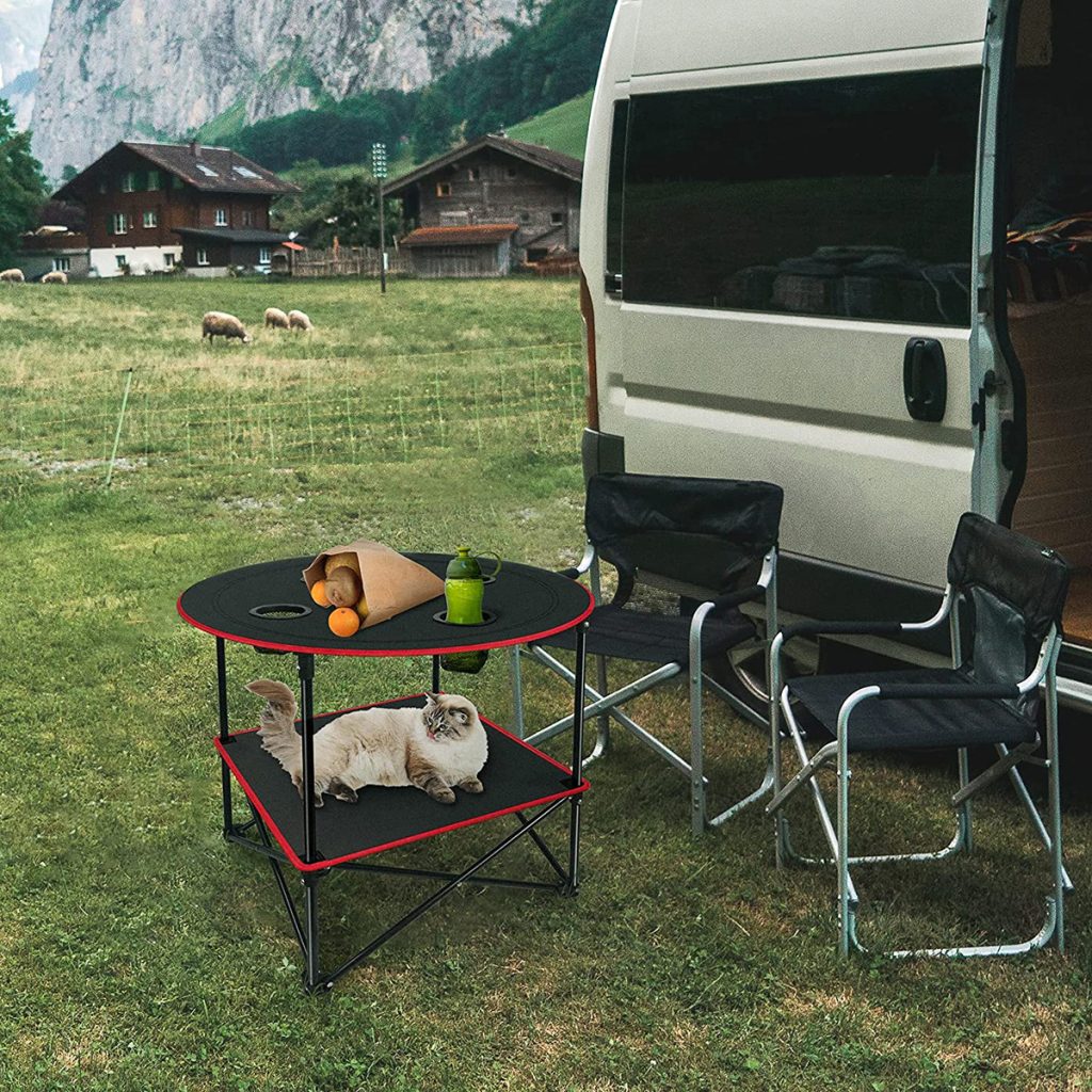 Outdoor camping scene with a cat resting on a portable table near a camper van, surrounded by grassy fields and mountains.